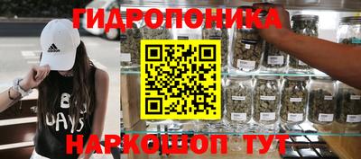 шишки Бузулук