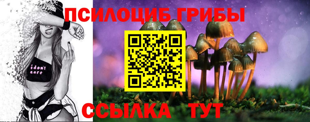 Псилоцибиновые грибы прущие грибы Хасавюрт