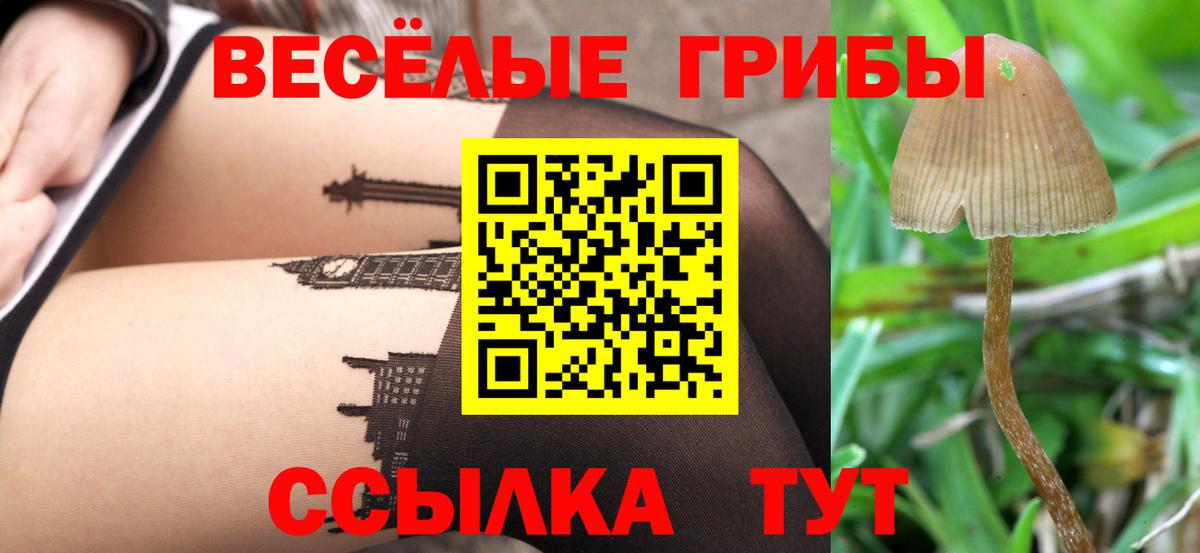 Хасавюрт  Галлюциногенные грибы прущие грибы  купить  сайты  Вход с VPN 
