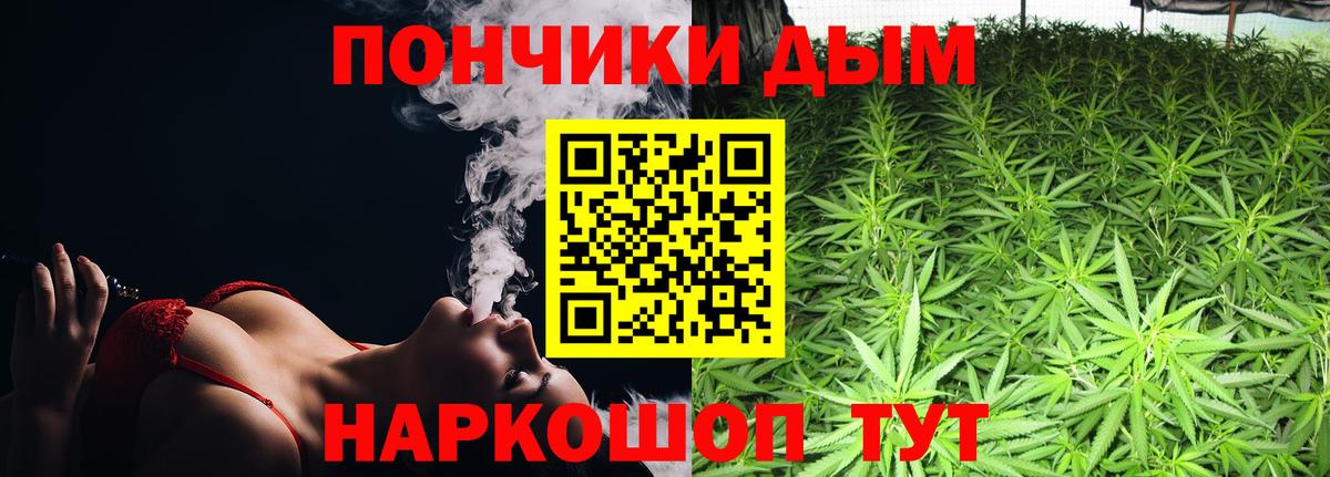 Бошки Шишки сатива Хасавюрт